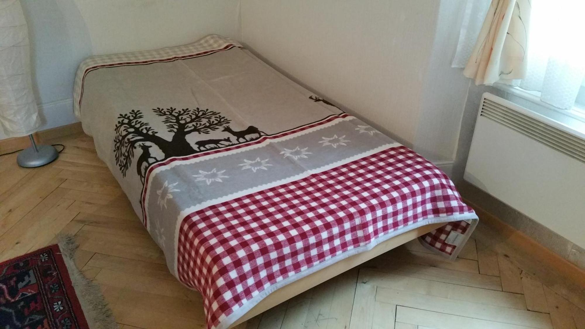 Ferienwohnung Haus Ryter Göschenen Quarto foto